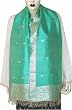 Scarf for Ladies Premium Silk Clothes Of India 22 x 72 inches