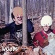 How to Survive in / In the Woods