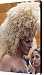 All Products : Big Wig Canvas Print / Canvas Art - Artist Robert Ullmann
