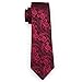 Hi-Tie New Fashion Woven Silk Paisley Tie Set for Men