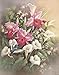 wallsthatspeak 2 New Hummingbird Art Prints Floral Posters Wall Decor