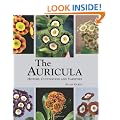 The Auricula: History, Cultivation and Varieties