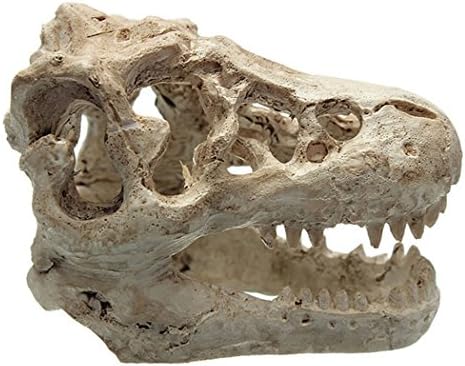 Resin Crocodile Skull Fish Decor Tank Ornament Aquarium Decoration Landscaping Set39