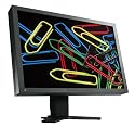 Eizo FlexScan S2001WH 20 Zoll widescreen TFT-Monitor DVI mit USB-Hub, Lautsprechern und Height Adjustable Stand schwarz (Kontrast 1000:1, 5ms Reaktionszeit)