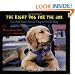 Right Dog for the Job: Ira's Path from Service Dog to Guide Dog