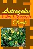The Secrets of The Astragalus Root - Can it be Your Magic Wand? (Planet Herbs)