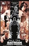 Batman: Private Casebook
