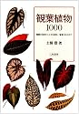 観葉植物1000―種類の特徴から上手な栽培・管理の仕方まで