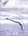Book It All Fits Together Winter Quarter Large Group Programming Guidebook: God's Story: Genesis-Revelation (Promiseland)