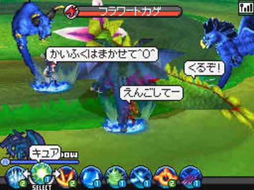 ブルードラゴン DS-イメージ