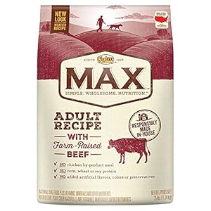 NUTRO MAX Adult Recipe With Farm Raised Beef and Brown Rice Dry Dog Food 25 Pounds