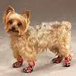 X-SMALL - RED LEOPARD - Safari Boots