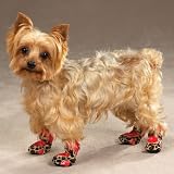 SMALL - RED LEOPARD - Safari Boots