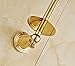 Rozin Gold Color Upright Style Toilet Paper Holder Wall Mounted