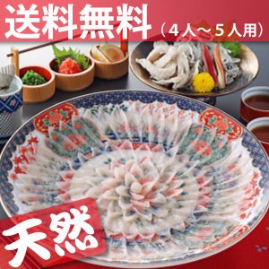 【送料無料】天然ならではのこの歯ごたえ！「天然とらふぐ刺身セット」4人～5人用（絵皿33cm付）【同梱不可】