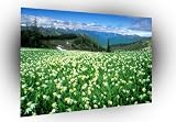 field peak of mountain framed canvas art A3 Medium (17.5` X 12`) (45cm X 30cm)