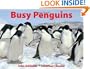 Busy Penguins (A Busy Book)