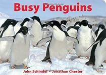 Busy Penguins (A Busy Book)