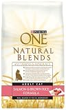 One Cat Salmon & Brown Rice Formula, Adult Cat, 1-LB Canister (Pack of 8)