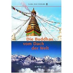 Die Buddhas vom Dach der Welt
