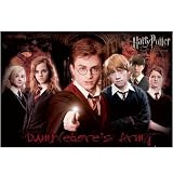 Eigenschaften GB Eye / Poster Harry Potter