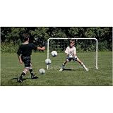 Competition Goal 4' x 6'