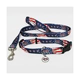 Washington Nationals Dog Collar & Leash Set