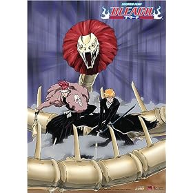 Bleach: Cooperation of Ichigo & Rengi Wall Scroll GE9894 (Fabric Cloth)