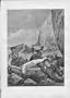 Dead Horse & Rider Found Fine Art Antique Print 1890