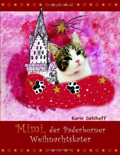 Weihnachtskater