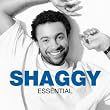 Shaggy