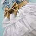 Fairy Denim Dog Dress for Dog Clothes Charming Cozy Dog Shirt Pet Dress XL