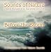BEFORE THE STORM (Sounds of Nature Series) [CD on Demand]