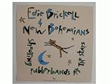 Edie Brickell and the new bohemians Poster flat &