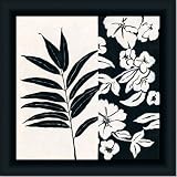 Black White Iv Fern Floral Modern Art Print Framed