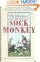 The Adventures of Tony Millionaire's Sock Monkey