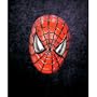 Spiderman Mask Adult