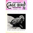 Green Singing Finch Condition Your Bird Watching Birds My Bout With French Moult Vanishing White Wing Bird Called... by Arthur Freud, Alyse E. Murry, Margie McGee, and Honora K. Schwarz