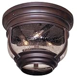 Amherst Collection 11 1/2 Wide Outdoor Ceiling Light Fixtur