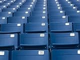 Stadium Seats - 18W x 13H - Peel and Stick Wall Decal by Wallmonkeys