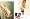Gil Elvgren: All His Glamorous American Pin-Ups (Taschen 25th Anniversary Special Editions)