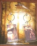 Twilight Saga New Moon Movie Poster Lucite Keychains
