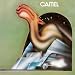Camel-Camel