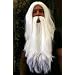 Per�cke & Bart Set: Zauberer Gandalf Dumbledore Wizard