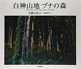 白神山地・ブナの森