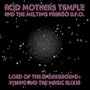 Lord of the Underground: Vishnu and the Magic Elixir [Vinyl]