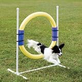 Innotek PDT00-11033 Ring Jump