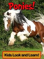 Ponies! Learn About Ponies and Enjoy Colorful Pictures - Look and Learn! (50+ Photos of Ponies)