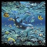 Coral Pals Wall Mural