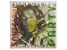 Ziggy Marley and The Melody Makers Poster & Conscious Party
